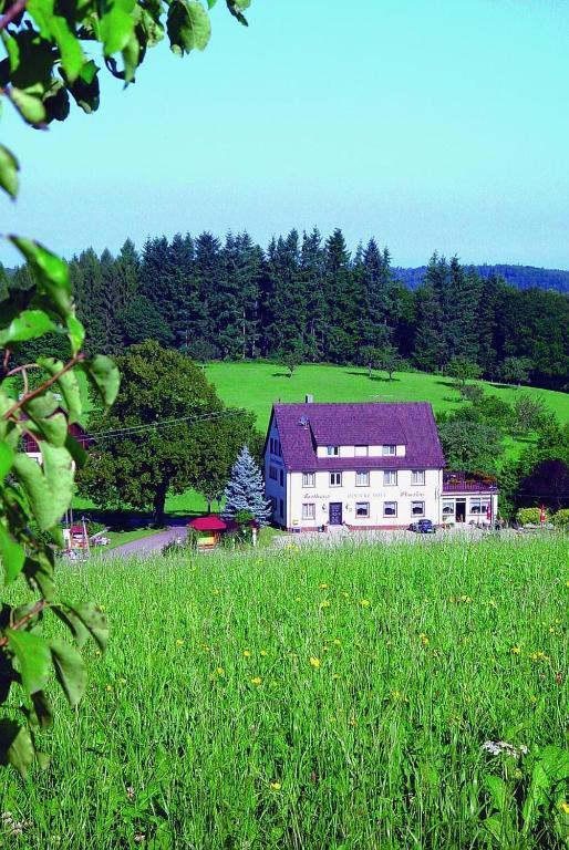 Gasthaus Und Pension Hintere Hofe Freiamt Bagian luar foto